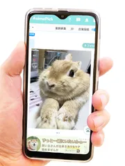 日常投稿