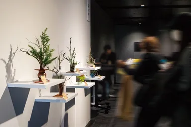 「ひびか」特別展示(2024)