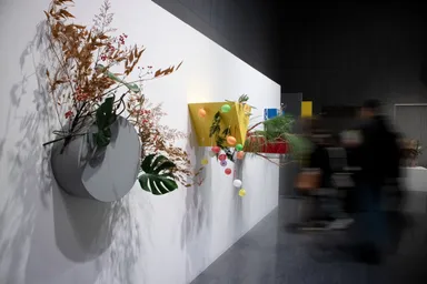 突起を取り掛かりに(2024)