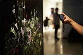 エキシビション３｜amana×ARART