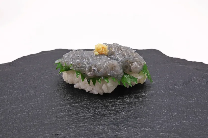 兵庫県産生しらす