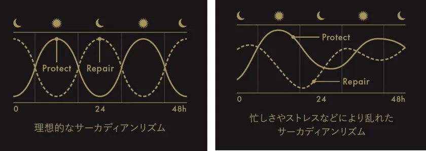 サーカディアンリズム