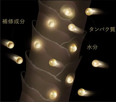 疑似キューティクル成分による集中ケア