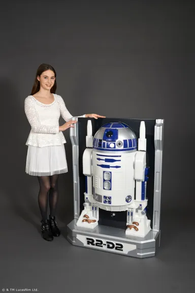 3D WALL FIGURE STAR WARS 1/1 R2-D2(1)