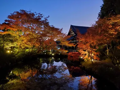 水面に映る紅葉が美しい庭園