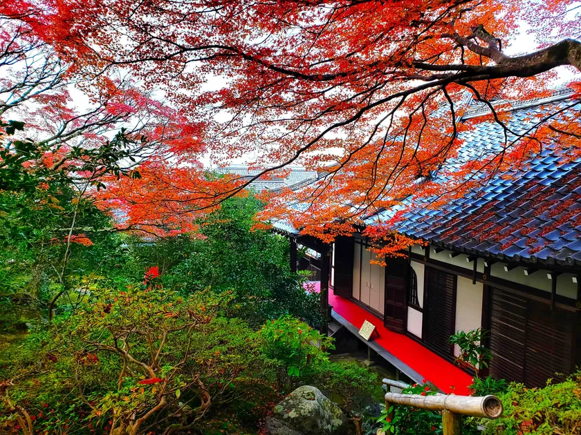 本堂と紅葉