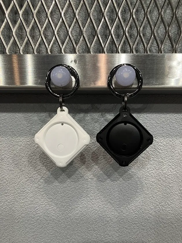 ローシャルタグ