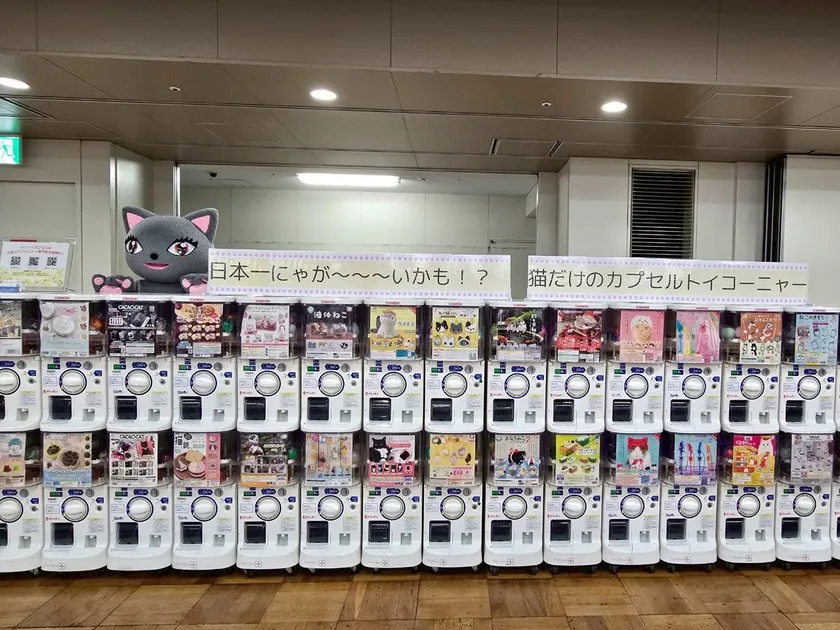 カプセルトイコーナー
