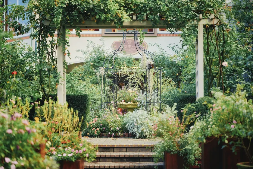 ローズ_10月上旬~11月上旬