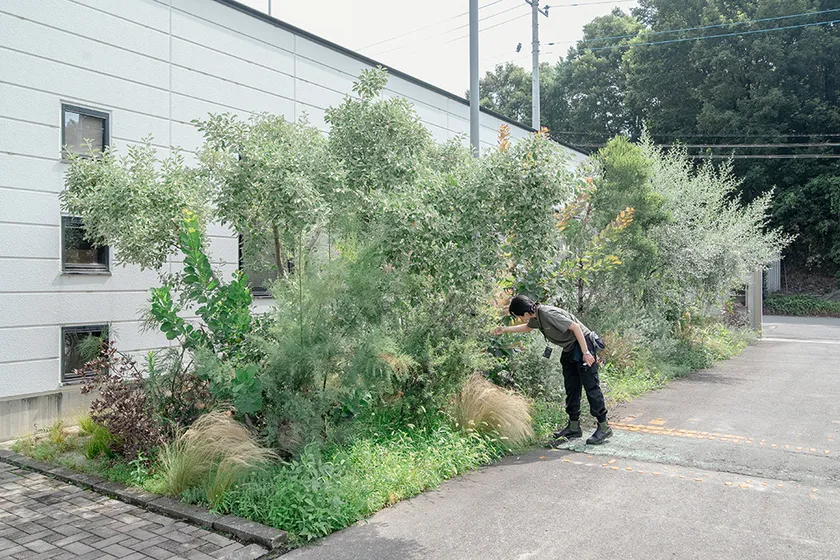 BIOTA「一条工務店群馬の事務所の外構植栽」(2024)