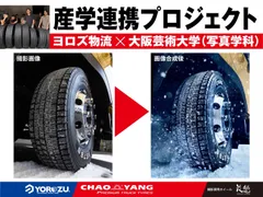 NS785スタッドレスタイヤ