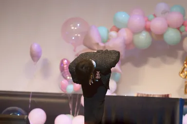 9/15(月・祝)恵比寿公演模様7