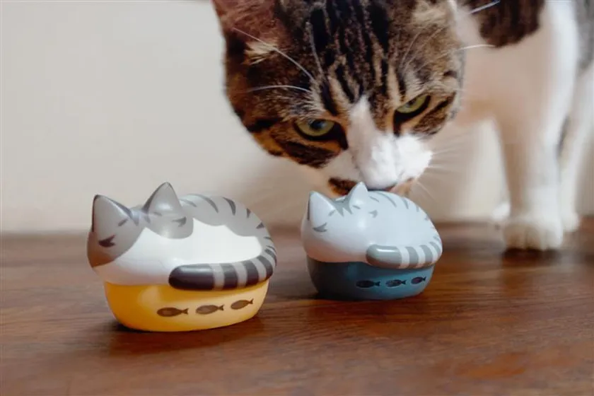 05_開発担当の猫_1