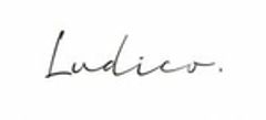 株式会社Ludicoのロゴ