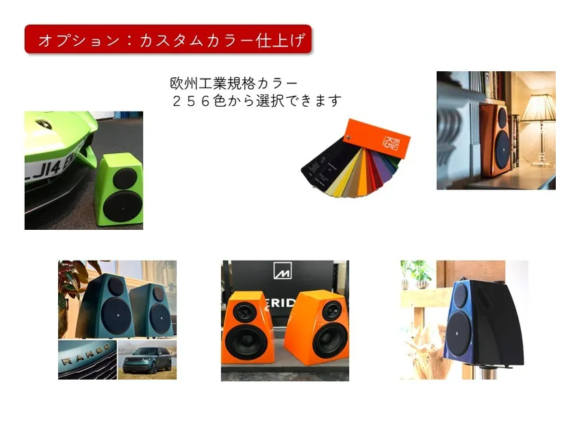 カスタムカラーオーダー例