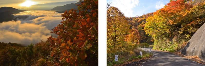 枝折峠