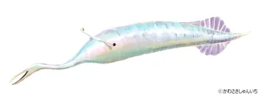 タリーモンスター復元画