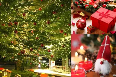 クリスマスツリーとオーナメントのイメージ