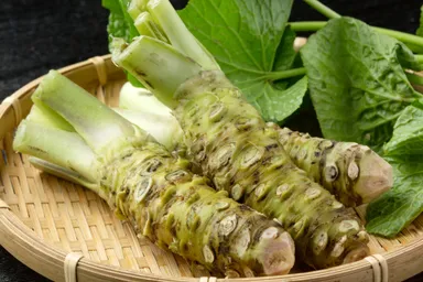 収穫したわさび