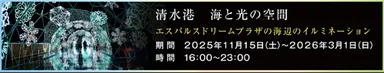 ウィンターイルミネーション「清水港　海と光の空間」