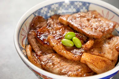 十勝氷室熟成豚肉のロース豚丼
