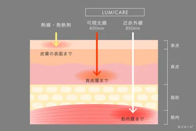 筋肉層まで届く近赤外線
