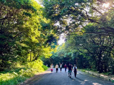 やすらぎの里・朝の散歩