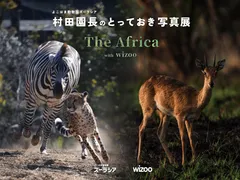 村田園長のとっておき写真展 with wizoo『The Africa』