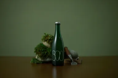 LINNEサムネイル