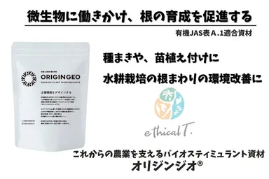 メインページ(3)