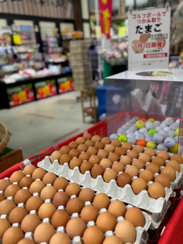 ゴルフボールですくい取り・たまご