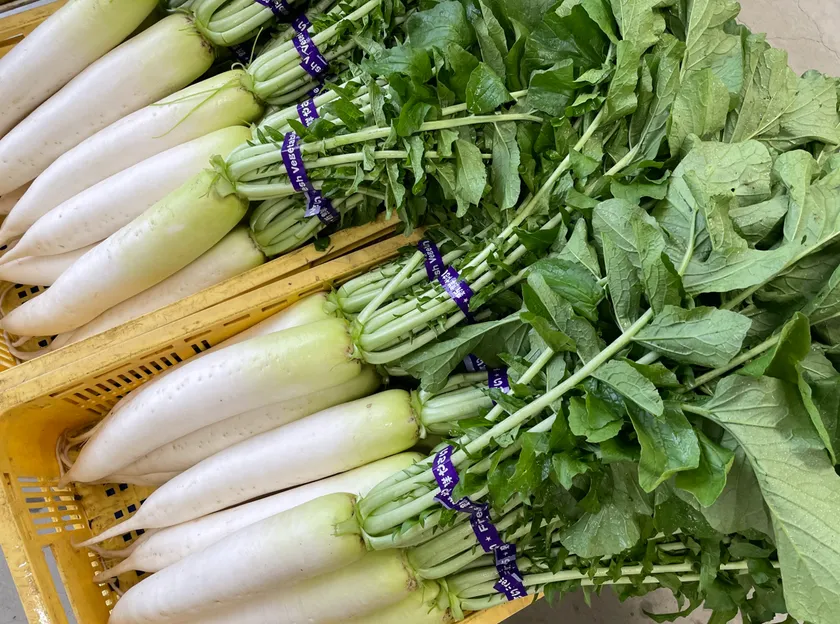 片手でつかみ取り・葉付き大根