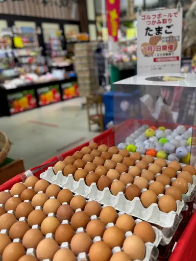 ゴルフボールですくい取り・たまご