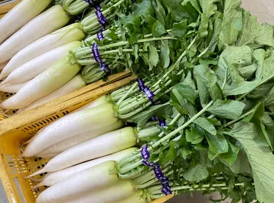 片手でつかみ取り・葉付き大根