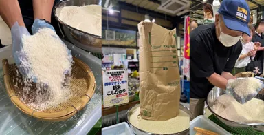 両手ですくい取り・新米こしひかり