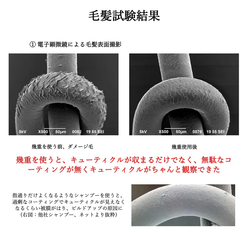 キューティクルの健やかさ