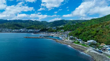 目の前は海と山に囲まれた環境