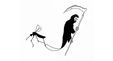 蚊に刺されたら死ぬ？