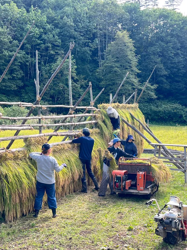 はさがけの様子(3)
