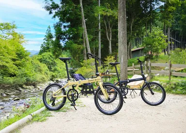 RENAULT GRAVEL11イメージ2