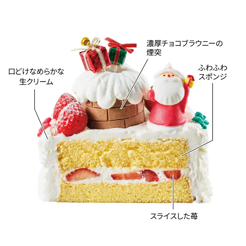 ハピネスサンタ(断面)