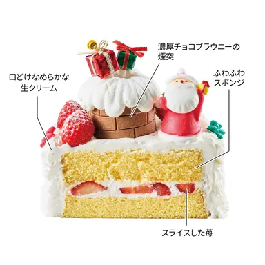 ハピネスサンタ(断面)