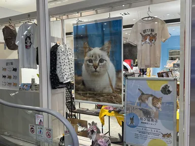 飛び猫商店　入口