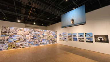 過去の展示風景(宝塚市立文化芸術センター)
