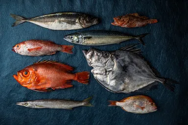 自らが競り落とす新鮮な魚介類