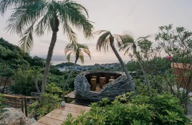 鳥の巣展望シート