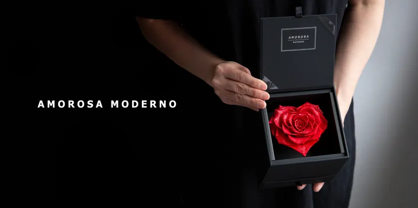 AMOROSA MODERNO