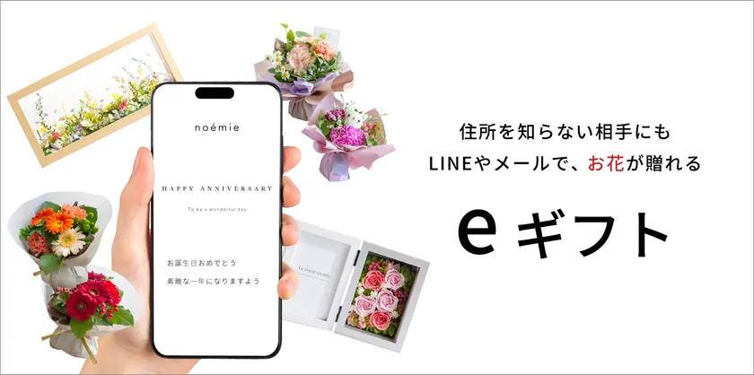 noemie × AnyGift
