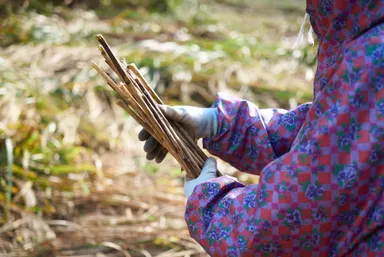 茅刈は集落で代々行われてきた伝統行事