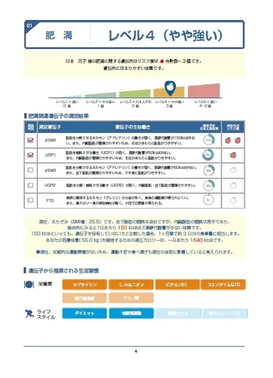 結果報告書のイメージ 1